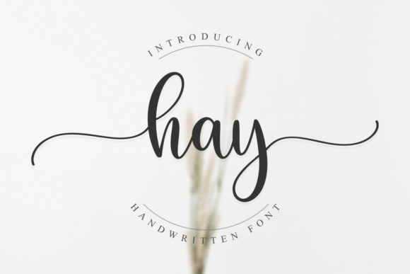 How a Simple Font Change Boosted My Brand’s Visual Appeal
