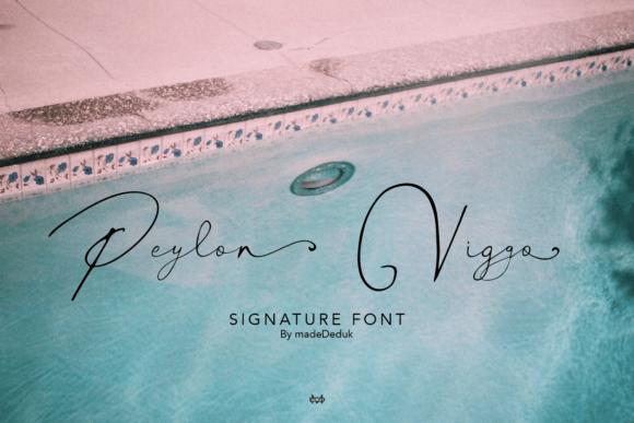 Peylon Viggo: A Signature Script Font That Elevates Small Business Branding